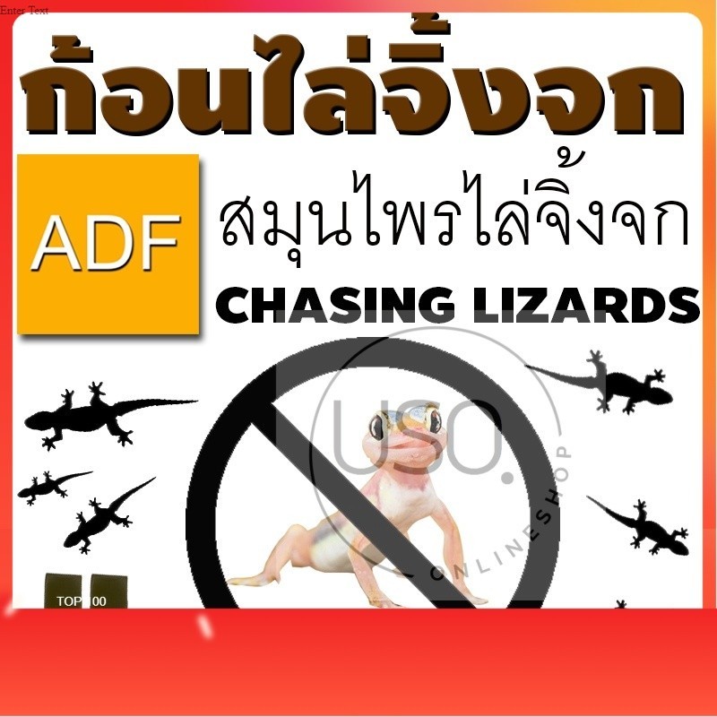 ก้อนไล่จิ้งจก ไล่จิ้งจก ก้อนไล่จิ้งจก ADF 1 ซอง มี 4 ก้อนจัดการจิ้งจกได้อย่างมีประสิทธิภาพ ใช้ง่าย ปลอดภัยสำหรับครอบครัว