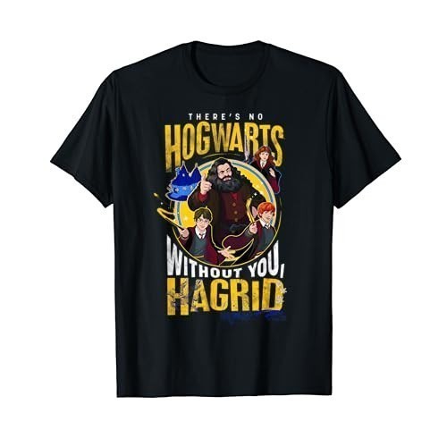 👕Harry Potter การจัดส่งที่รวดเร็วT-Shirtเสื้อยืดผ้าฝ้าย พิมพ์ลายโปสเตอร์ Harry Potter Deathly Hallow