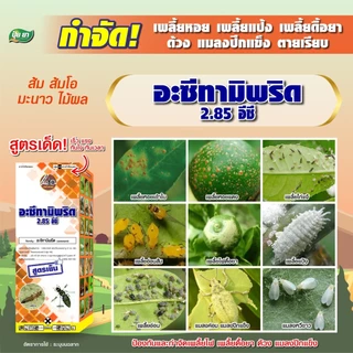 ยาฆ่าเพลี้ย อะซีทามิพริด 2.85 อีซี กำจัดเพลี้ยไฟ เพลี้ยหอย เพลี้ยแป้ง เพลี้ยดื้อยา กำจัดด้วง กำจัดแมลงปีกแข็ง