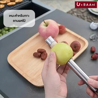UBAAN อุปกรณ์คว้านเม็ด ที่เจาะแกนผลไม้ มีดคว้าน มีดแกะสลัก คว้านเม็ด มะยงชิด เงาะ ลำใย สแตนเลส