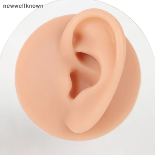 Neth ซิลิโคนหูรุ ่ นเครื ่ องมือฝึกหู Studs จอแสดงผลพร ้ อมขาตั ้ งอะคริลิค SDA