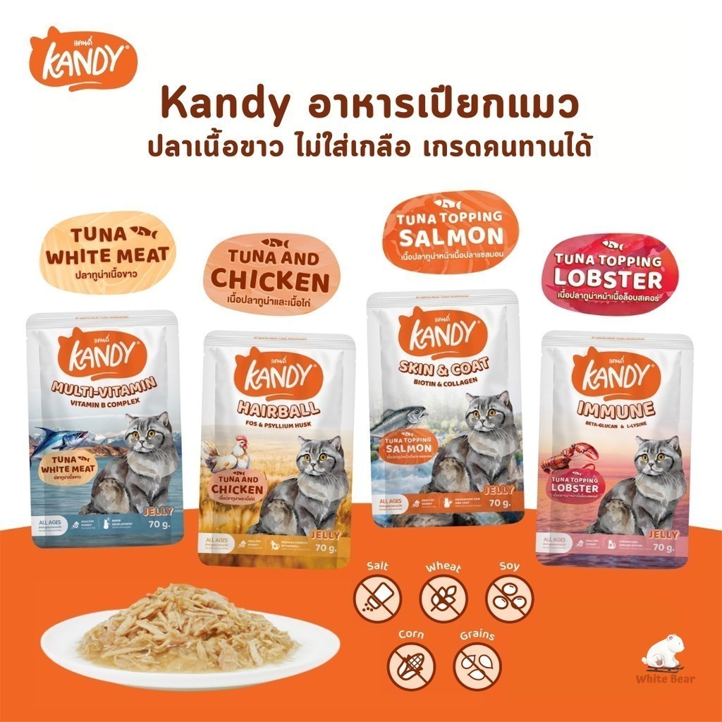 Kandy แคนดี้ อาหารเปียกแมว ไม่ใส่เกลือ ผลิตจากปลาเนื้อขาว ขนาด 70 กรัม