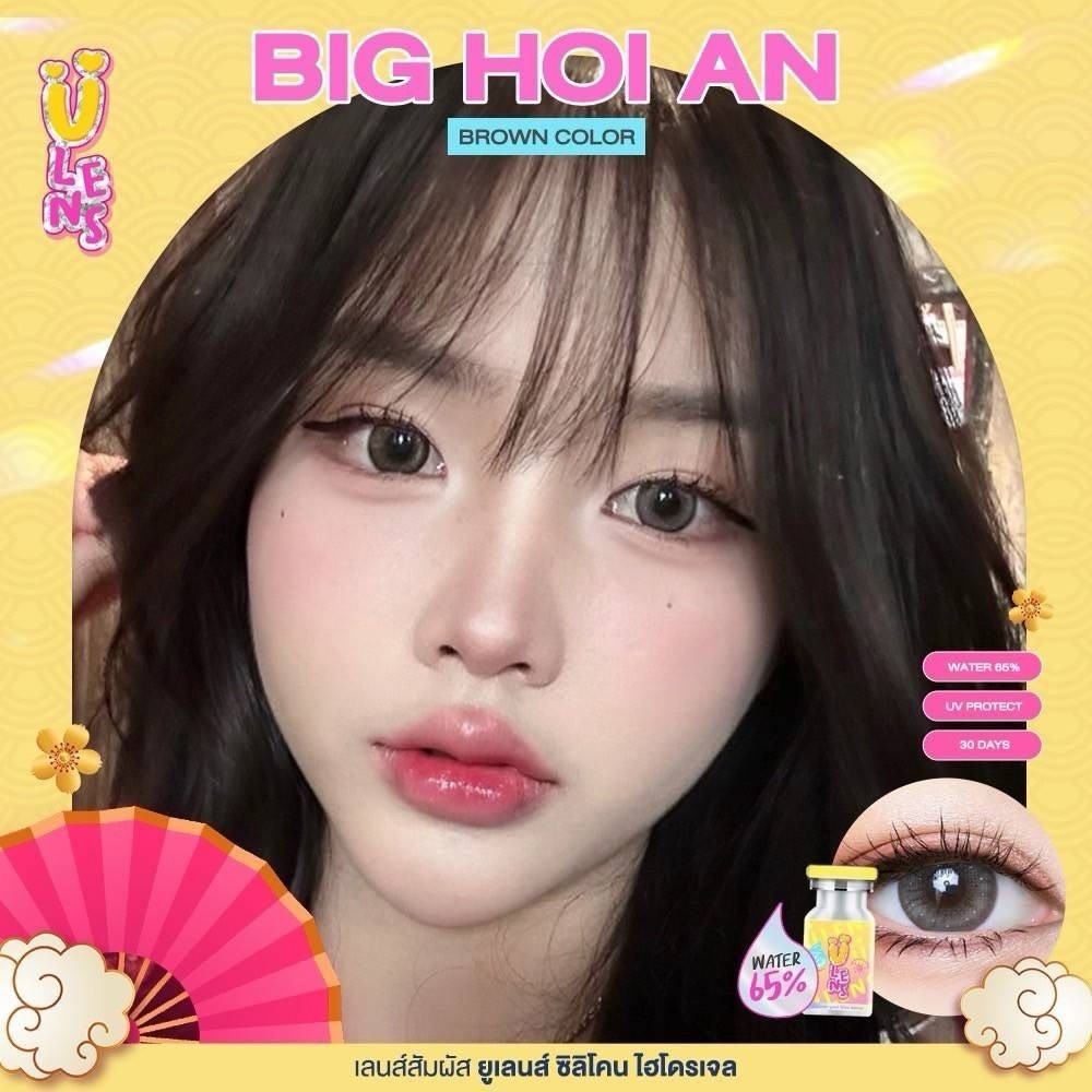 65% คอนแทคเลนส์ Hydrogel (บิ๊กอาย) Big Hoi An Brown / Gray (ulens) ⭐️ลายฮิต ขายดีมาก กรองแสงกันยูวี ราคา ถูกที่สุด ดีลบีเคเค แกลเลอรีภาพที่ 6