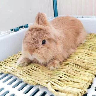 🐰 🐹รังหญ้าไก่ เสื่อหญ้ากระต่าย เสื่อฟางแบบนุ่มสําหรับสัตว์เลี้ยงหนูแฮมสเตอร์กระต่าย