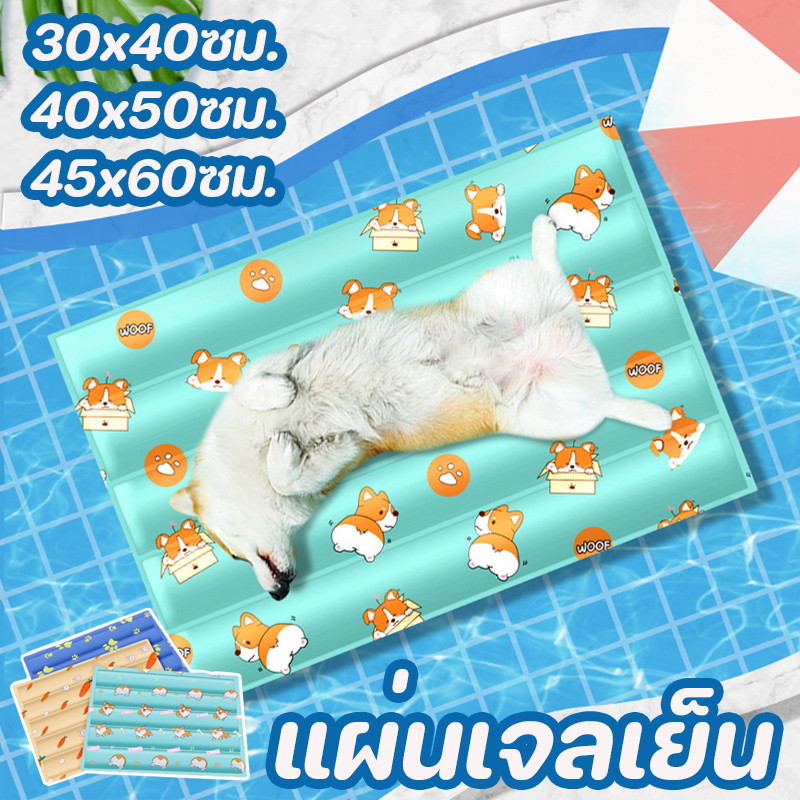 COD ที่นอนเย็น เจลเย็นแมว แผ่นทำความเย็น ที่นอนสัตว์เลี้ยง หมาแมว