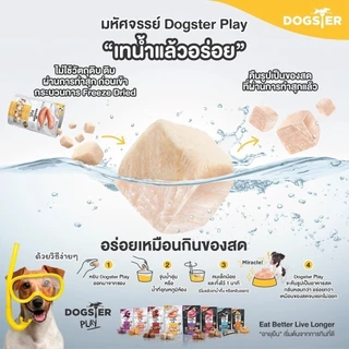 Dogster Play ขนมสุนัข Freeze Dried Mini Size ท็อปปิ้งฟรีซดราย ไม่ใส่เกลือ ขนาด 18 กรัม