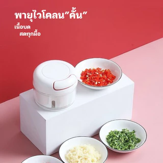 เครื่องปั่น เครื่องบดเนื้อ ที่บดกระเทียม สามารถใช้ปั่นเพื่อบดอาหารให้เด็กอ่อนทาน