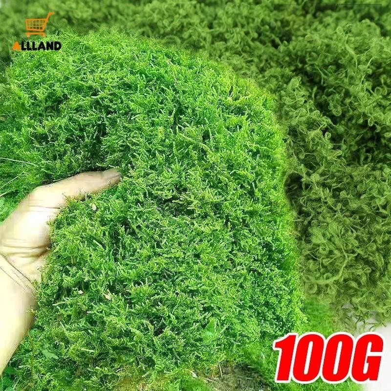 30/50/100g พืชประดิษฐ์ Eternal Life Green Moss - ห้องนั่งเล่นในบ้านสวน Potting ตกแต่ง - Mini ภูมิทัศน์หญ้าปลอม DIY หัตถกรรม