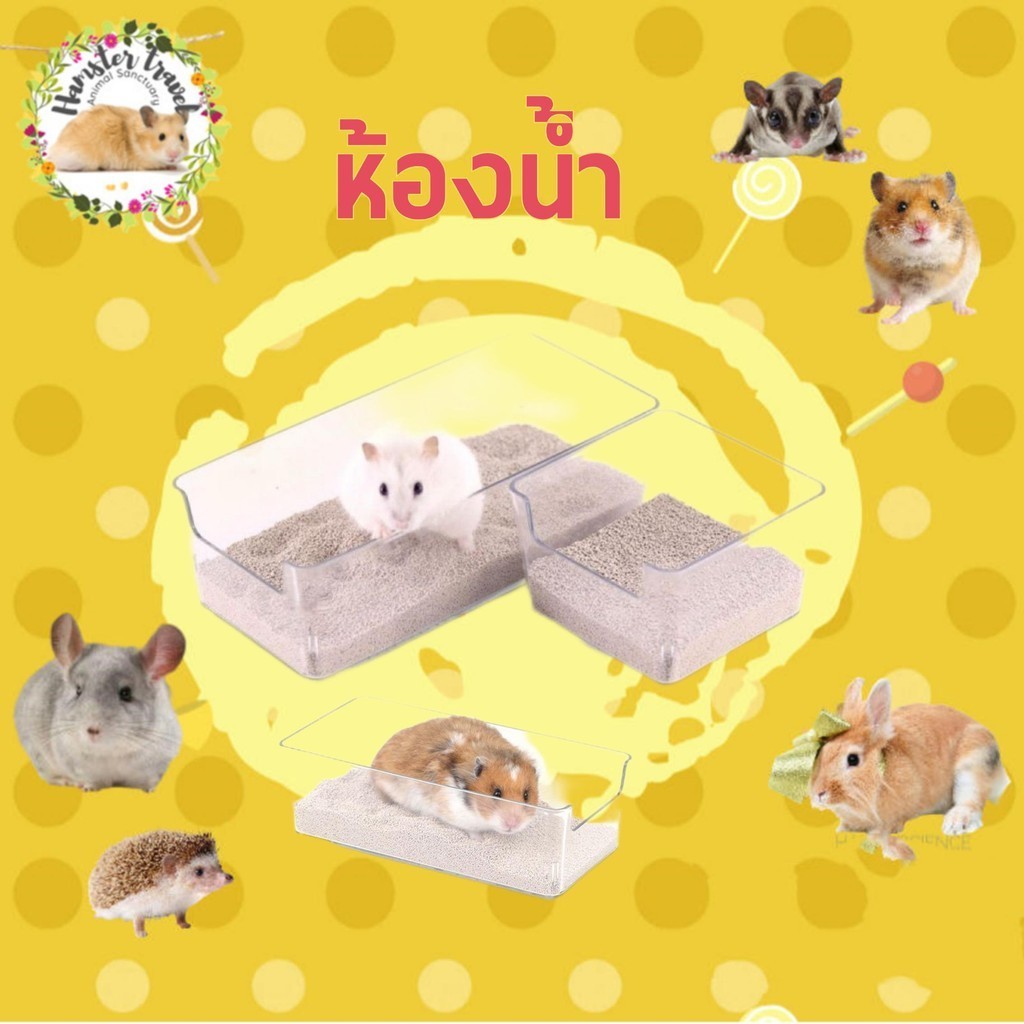 อ่างส้วมหนูแฮมสเตอร์โปร่งใสใช้คู่ห้องน้ำป้องกันน้ำกระเซ็นอ่างอาบน้ำอ่างอาบน้ำอ่างทรายหมีทองกระโถนสี่เหลี่ยม/bathroom
