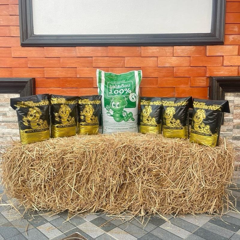 มูลไส้เดือน มูลไส้เดือนแท้100% แพ็ค3ถุงน้ำหนัก5กิโลกรัมถุงใหญ่ เป็นวัสปรุงดิน ปุ๋ยชั้นดีมูลทำมาจากเบดดิ้งสูตรPRE COMPOST - รูปที่ 4