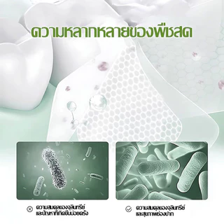ยาสีฟัน ยาสีฟันสมุนไพร 9ชนิด มีฟลูออไรด์ ลดกลิ่นปาก ป้องกันฟันผุ สูตรสมุนไพร 100กรัม Toothpastes-1507