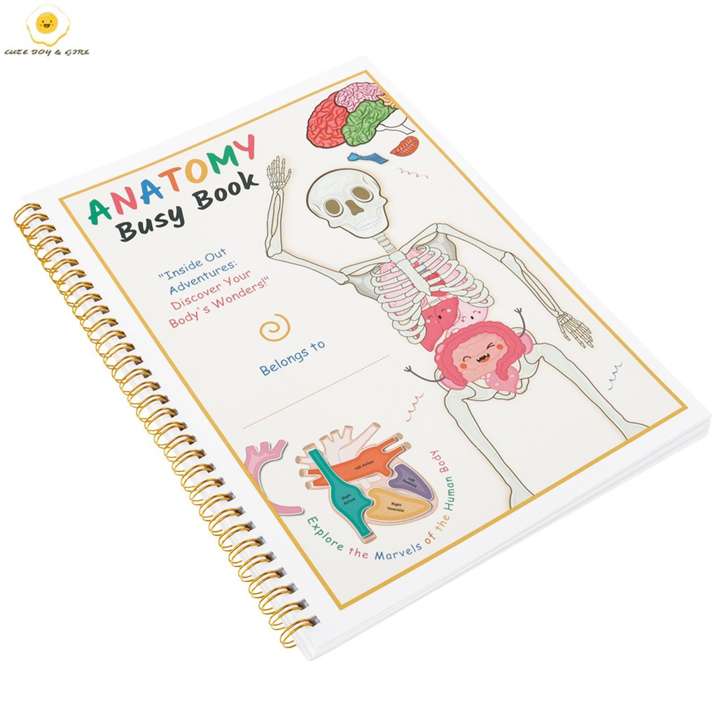 Human Anatomy Quiet Book อวัยวะมนุษย์ Match Quiet Book ก่อนวัยเรียน Interactive Anatomy Quiet Book ส