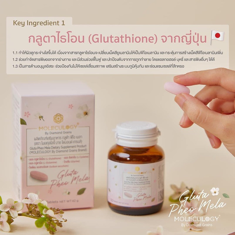 Moleculogy Gluta Pheo Mela (30เม็ด/กระปุก) ผลิตภัณฑ์เสริมอาหาร กลูต้า ฟีโอ เมลา ราคา ถูกที่สุด ดีลบีเคเค แกลเลอรีภาพที่ 4