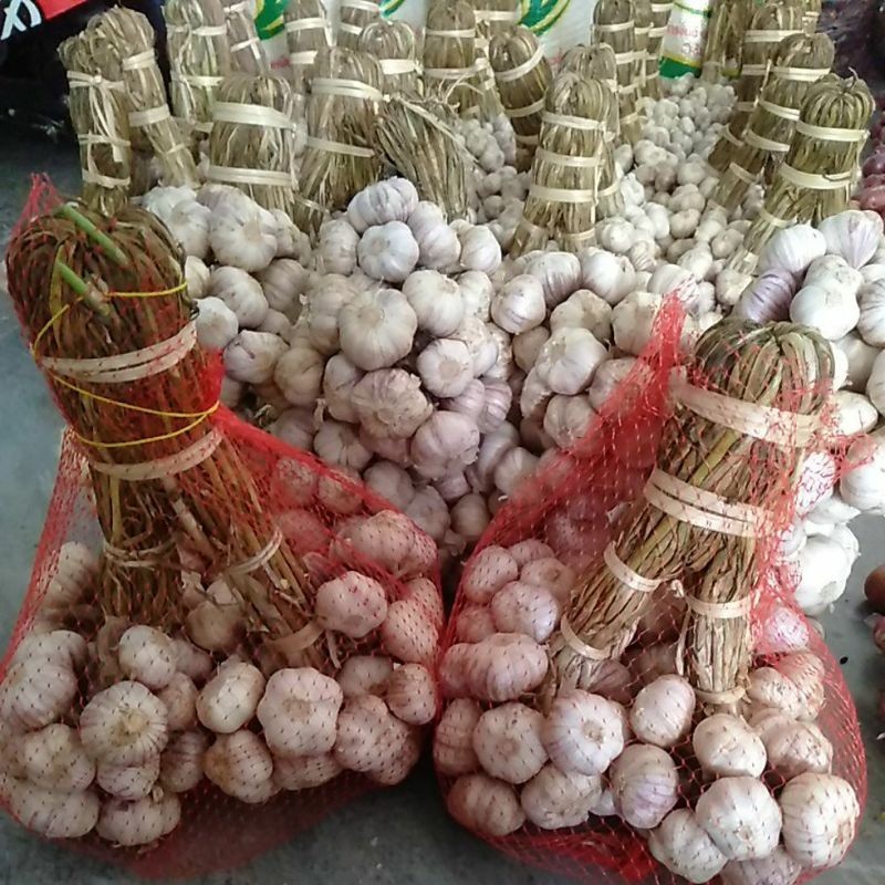 ราคา ส่ง ถูกที่สุด กระเทียมไทยแก้วสวยรุ่น3กิโลกรัม