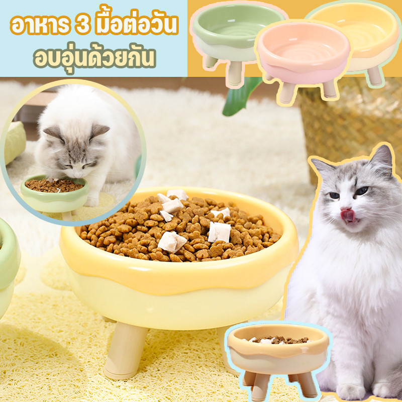 ชามอาหารแมว ชามอาหารสัตว์เลี้ยง ชามอาหารหมา ชามสัตว์เลี้ยง ชามอาหารสัตว์ ที่ใส่อาหารสัตว์เลี้ยง ชามให้อาหารแมว