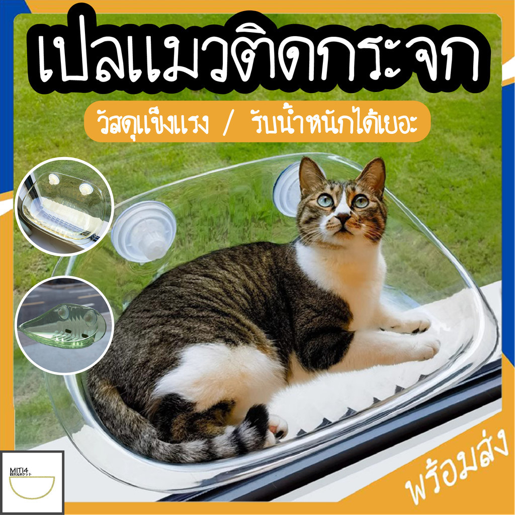 MITI4 พร้อมส่ง เปลแมวติดกระจก ที่นอนแมวติดกระจก แบบใส รับน้ำหนักได้ 20 kg. มี 3 สี COD PU19