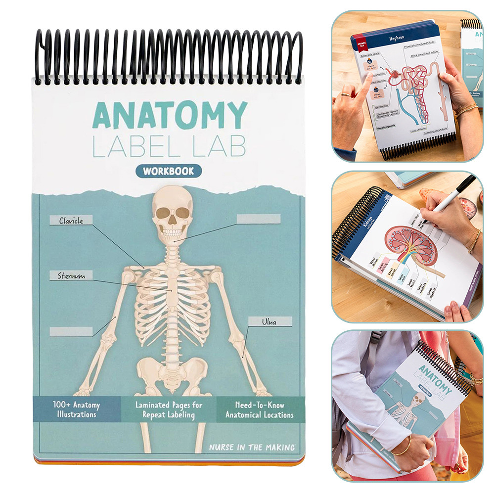 สมุดงานกายวิภาคศาสตร์ สุดยอดหนังสือคู่มือการศึกษากายวิภาคศาสตร์สําหรับนักเรียนพยาบาล