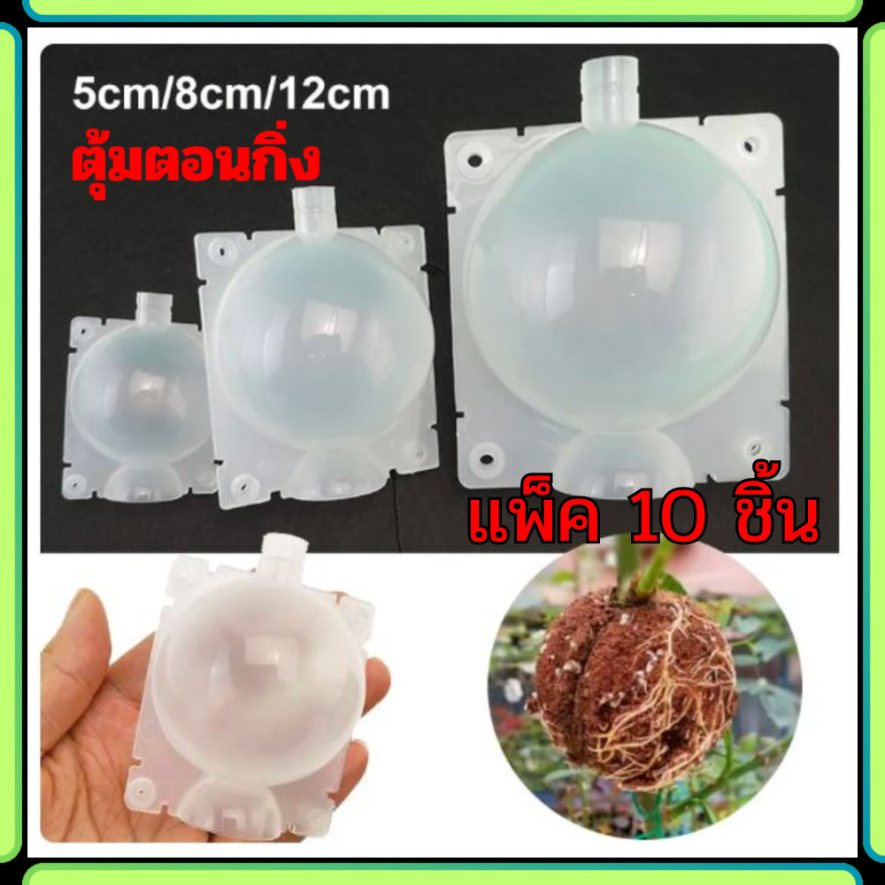 ตุ้มตอนกิ่ง ตอนกิ่ง แพ็ค 10 ชิ้น มีที่ล็อคในตัว ตุ้มตอนพลาสติก แบบหนา มี 3 ขนาด แข็ง ทนทาน ใช้ซ้ำได้