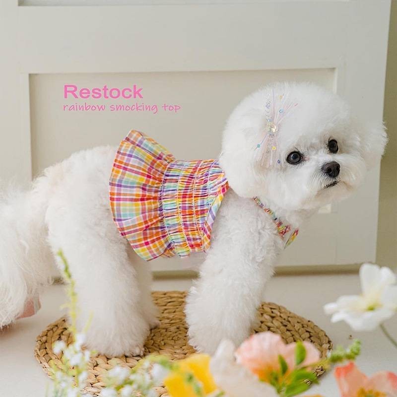 [พร้อมส่ง]ชุดเดรสกระโปรงสายรุ้ง สุดน่ารัก เหมาะกับฤดูร้อน สําหรับสัตว์เลี้ยง สุนัข แมว