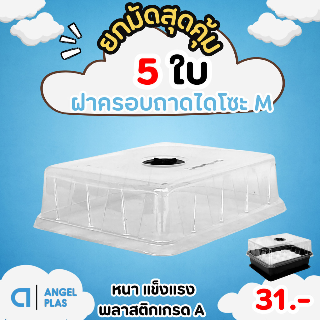 กระถาง ฝาครอบถาดไดโซะ ครอบต้นไม้ Size M สีใส
