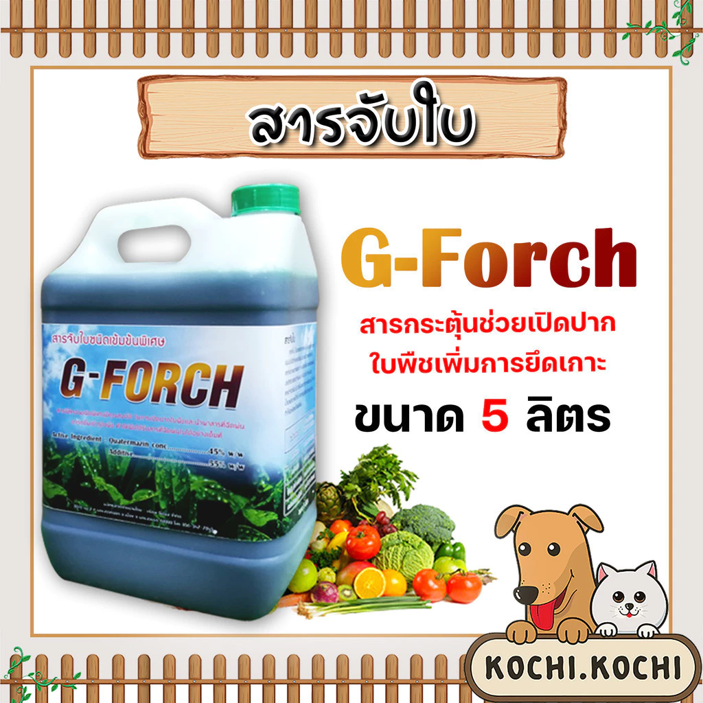 รวมสารจับใบเข้มข้นชนิดพิเศษ ขนาด 5 ลิตร มีหลายยี่ห้อให้เลือก