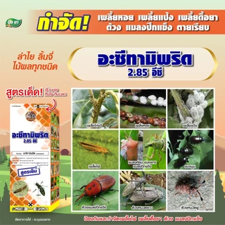 ยาฆ่าเพลี้ย อะซีทามิพริด 2.85 อีซี กำจัดเพลี้ยไฟ เพลี้ยหอย เพลี้ยแป้ง เพลี้ยดื้อยา กำจัดด้วง กำจัดแมลงปีกแข็ง