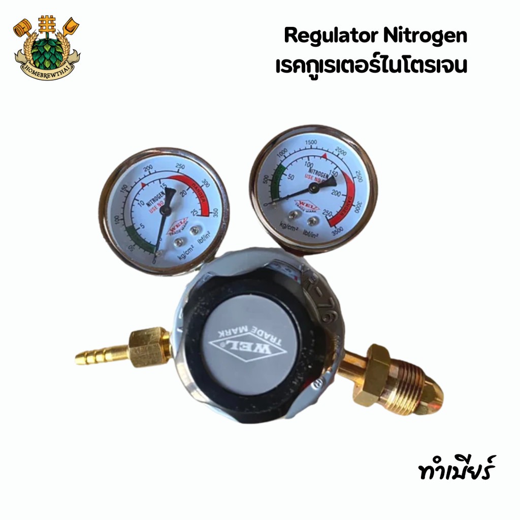 Regulator Nitrogen เรคกูเรเตอร์ไนโตรเจน