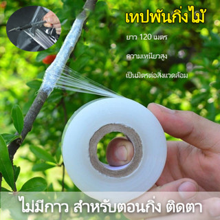 พร้อมส่ง เทปพันกิ่งไม้ เทปยืดพันกิ่ง ผ้าเทปพันกิ่ง ยาว 120 เ…