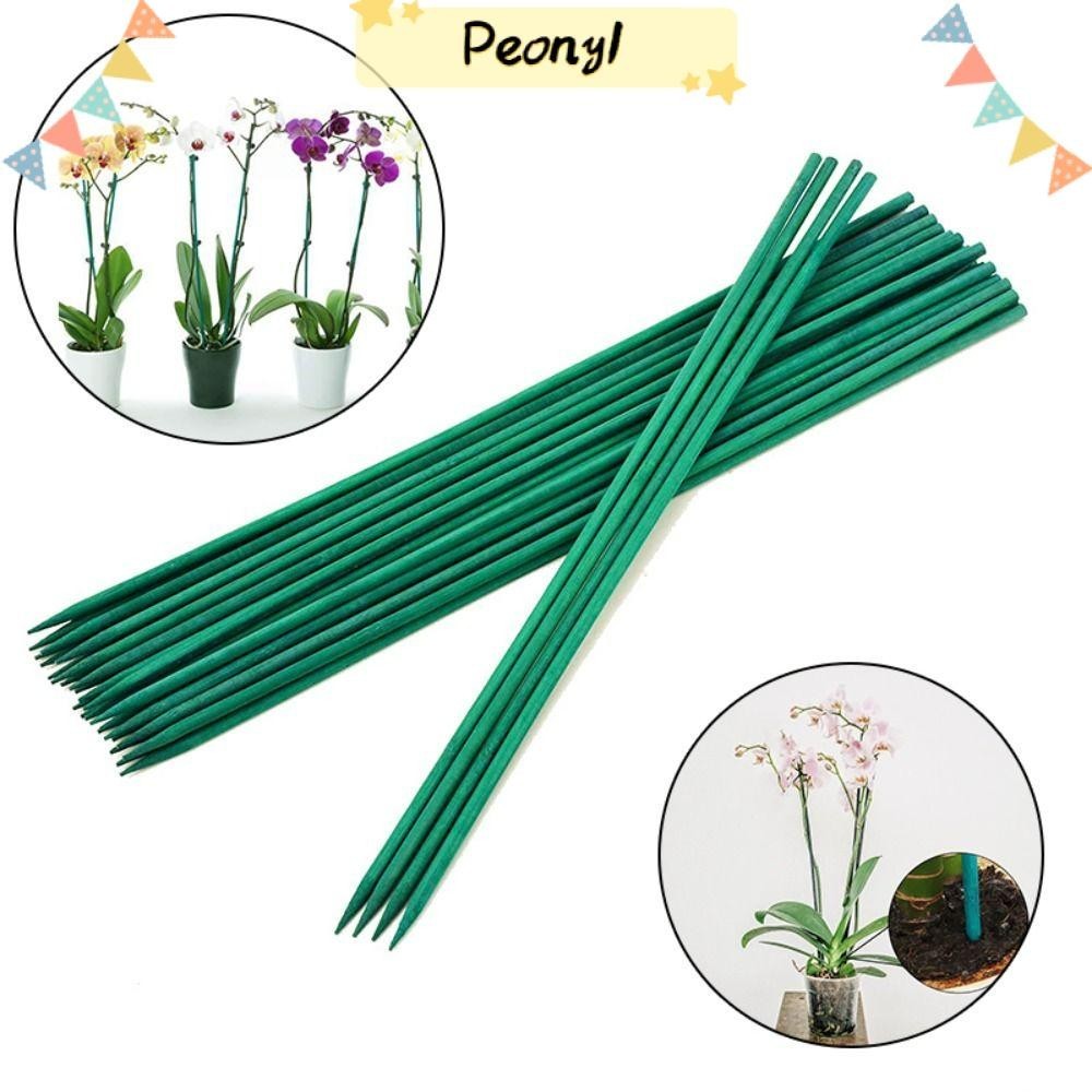 Pdony ไม้ค้ําต้นไม้ ไม้ไผ่ 40 ซม. ถอดออกได้ สีเขียว 10 ชิ้น
