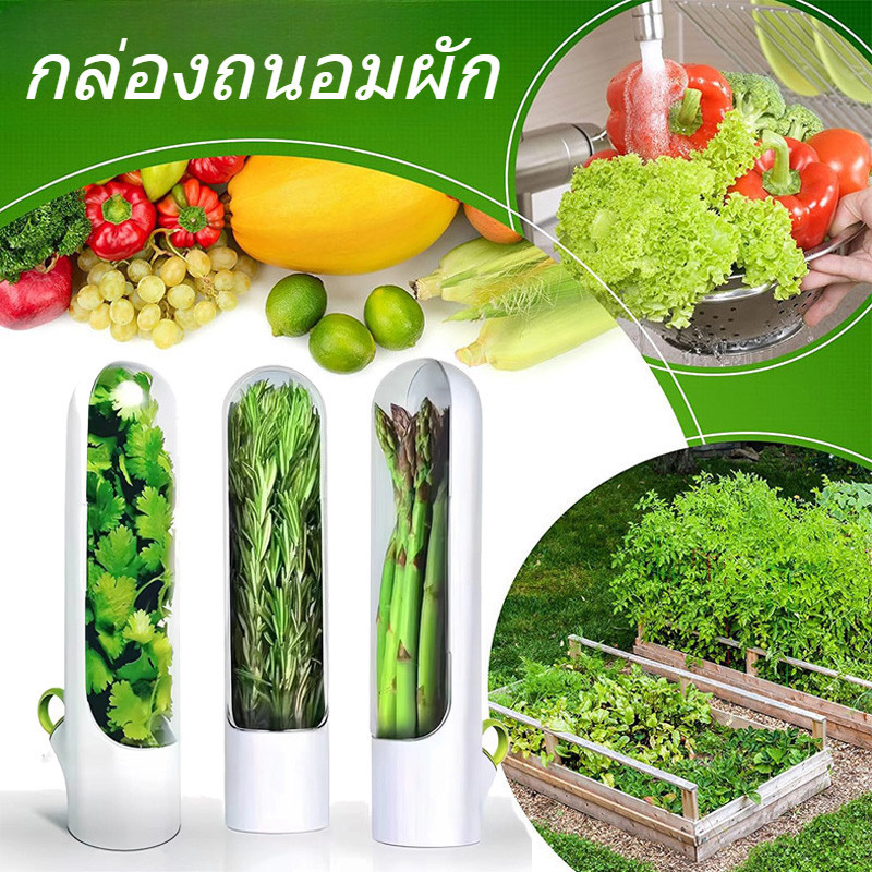 COD กล่องถนอมผัก ที่เก็บผัก ถ้วยสมุนไพรสด ประหยัดเนื้อที่ในตู้เย็น เก็บผักสด