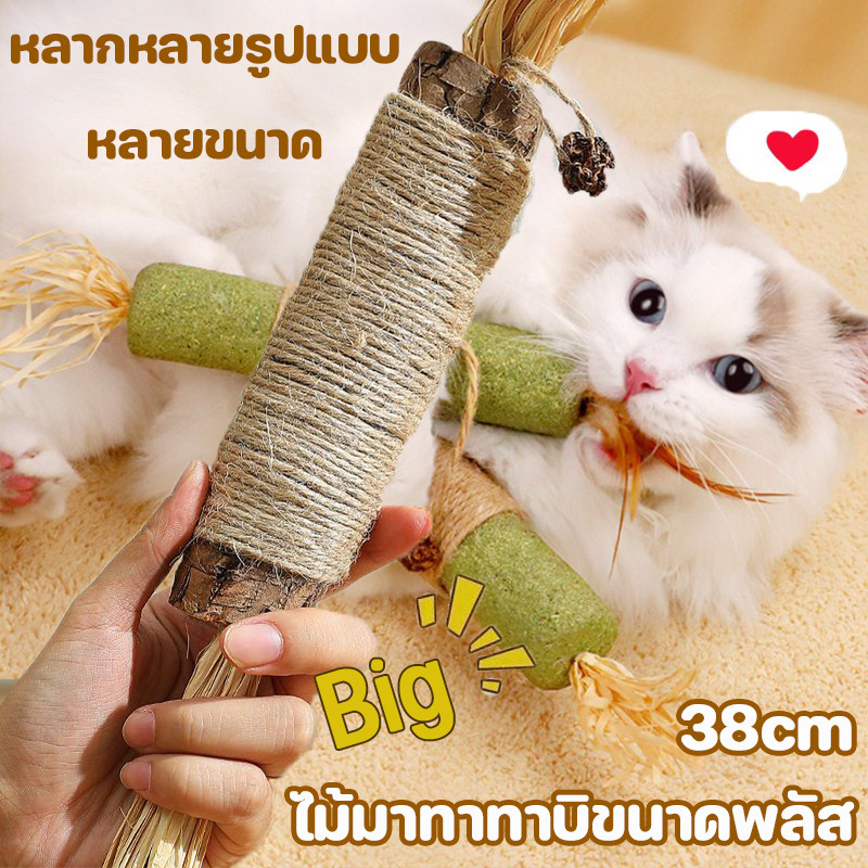ไม้มาทาทาบิ อันใหญ่มาก 38cm ไม้แมวเมา ไม้ขัดฟันแมว ก้านมาทาทาบิ ไม้แปรงฟันแมว ของเล่นแมว