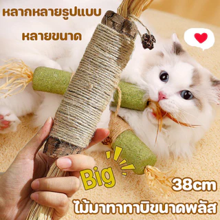 ไม้มาทาทาบิ อันใหญ่มาก 38cm ไม้แมวเมา ไม้ขัดฟันแมว ก้านมาทาทาบิ ไม้แปรงฟันแมว ของเล่นแมว