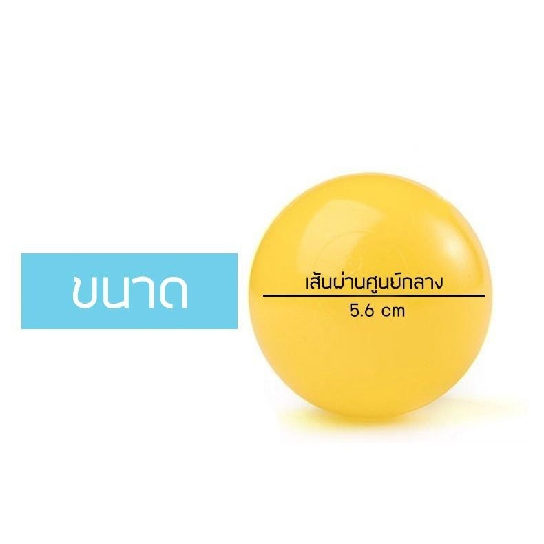 รูปภาพ 7