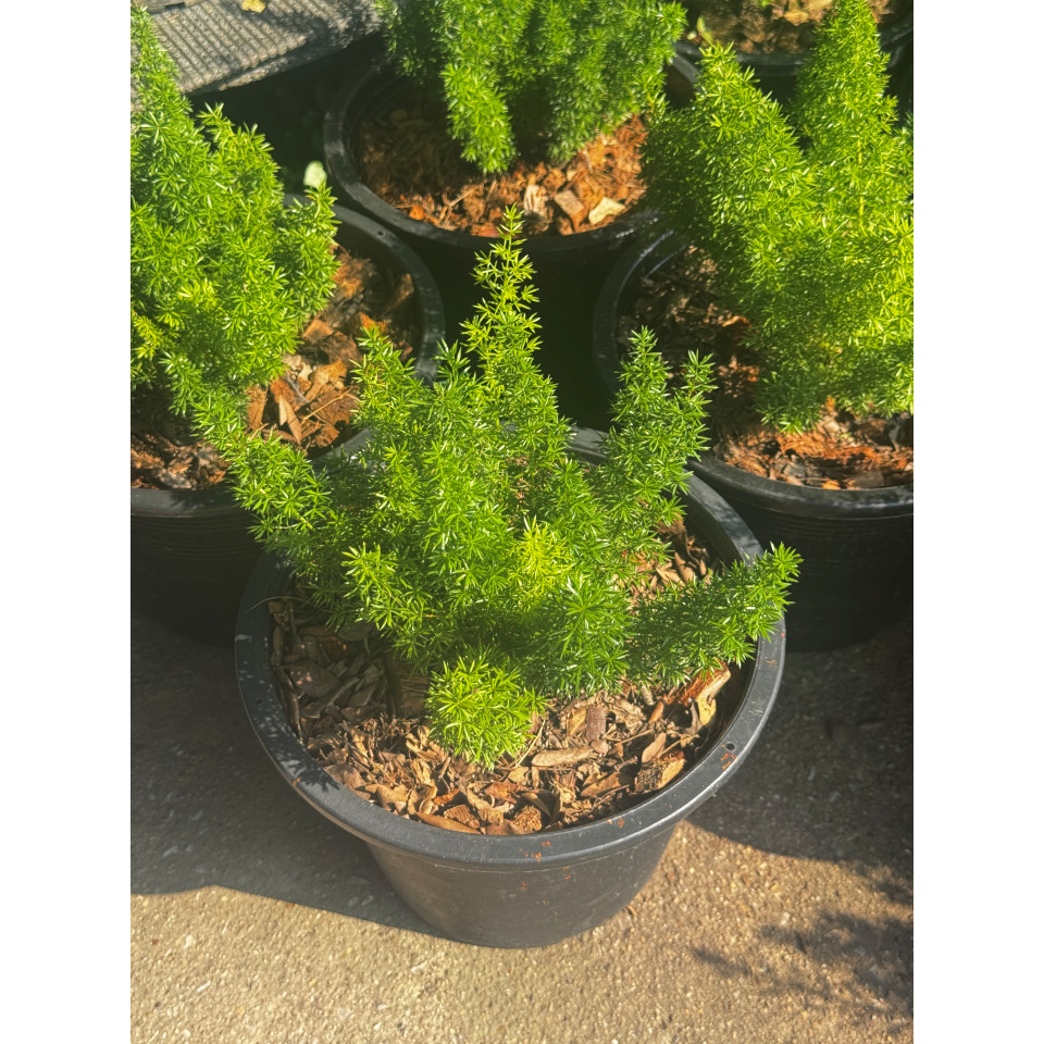 มุมมอง 6