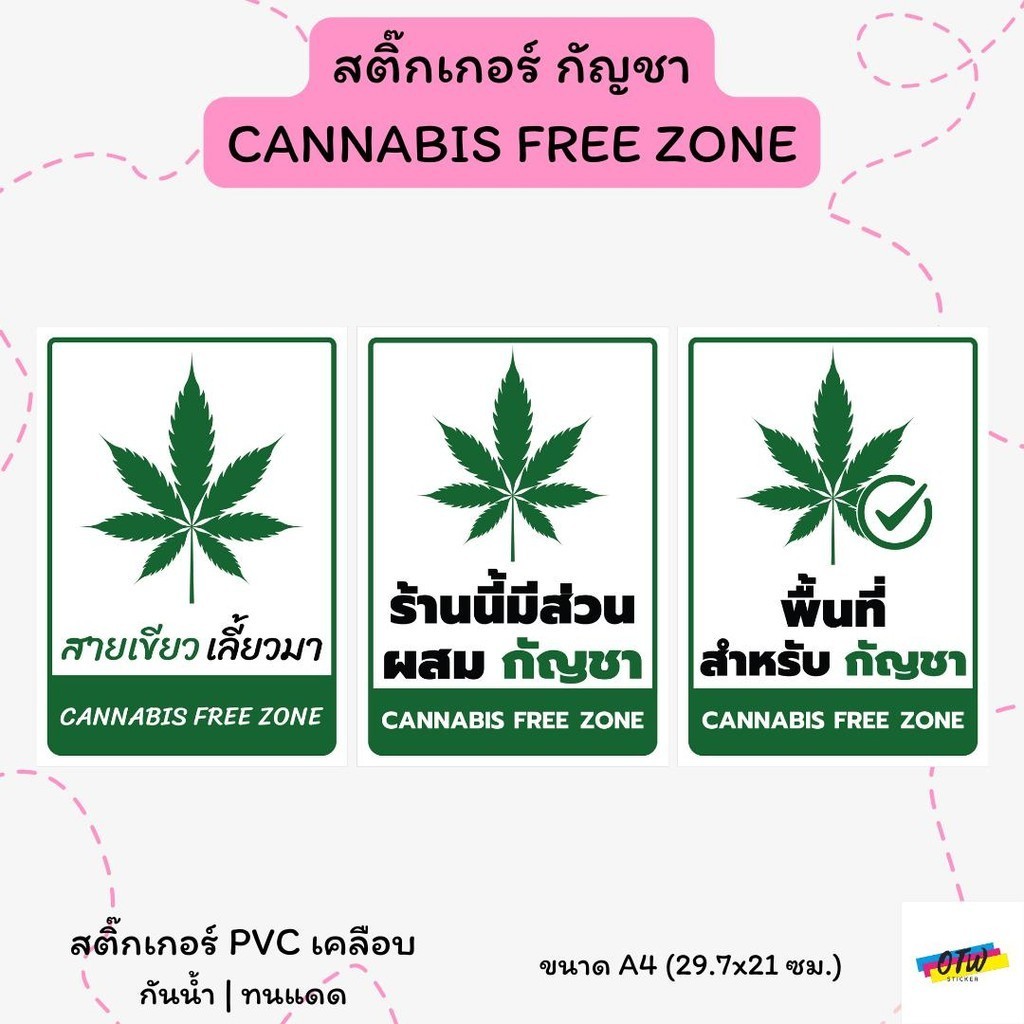 สติ๊กเกอร์ "ร้านนี้มีส่วนผสม กัญชา" สติ๊กเกอร์ PVC เคลือบด้าน กันน้ำ กันแดด ขนาด A4 29.7x21 ซม.