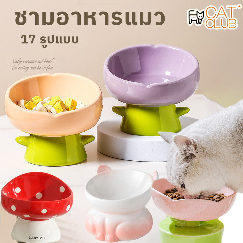 CAT CLUB ชามอาหารแมว ชามอาหารสัตว์เลี้ยง ชามอาหารสัตว์ ชามสัตว์เลี้ยง ชามหมา ชามแมว