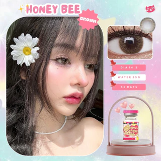 🔥คอนแทคเลนส์ ขนาดมินิ Honey bee Brown/Gray (kittykawaii)