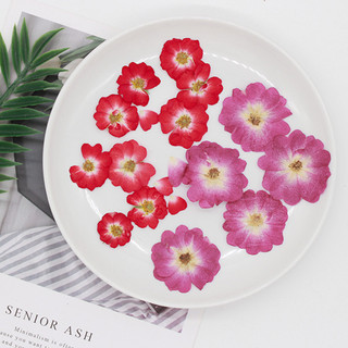 12 ชิ้น Rose นูนเคสโทรศัพท์ตกแต่งใบหน้าดอกไม้ DIY ที่คั่นหนังสือ