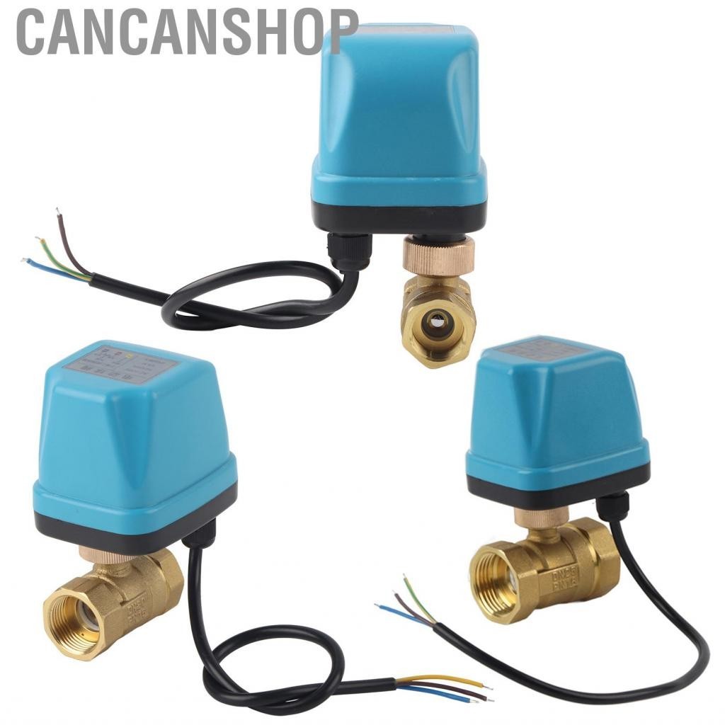 Cancanshop Electric Ball Valve 2-Way 3-Wire 2-Control IP54 Protection Synchronous Motor Blue AC220V Industrial