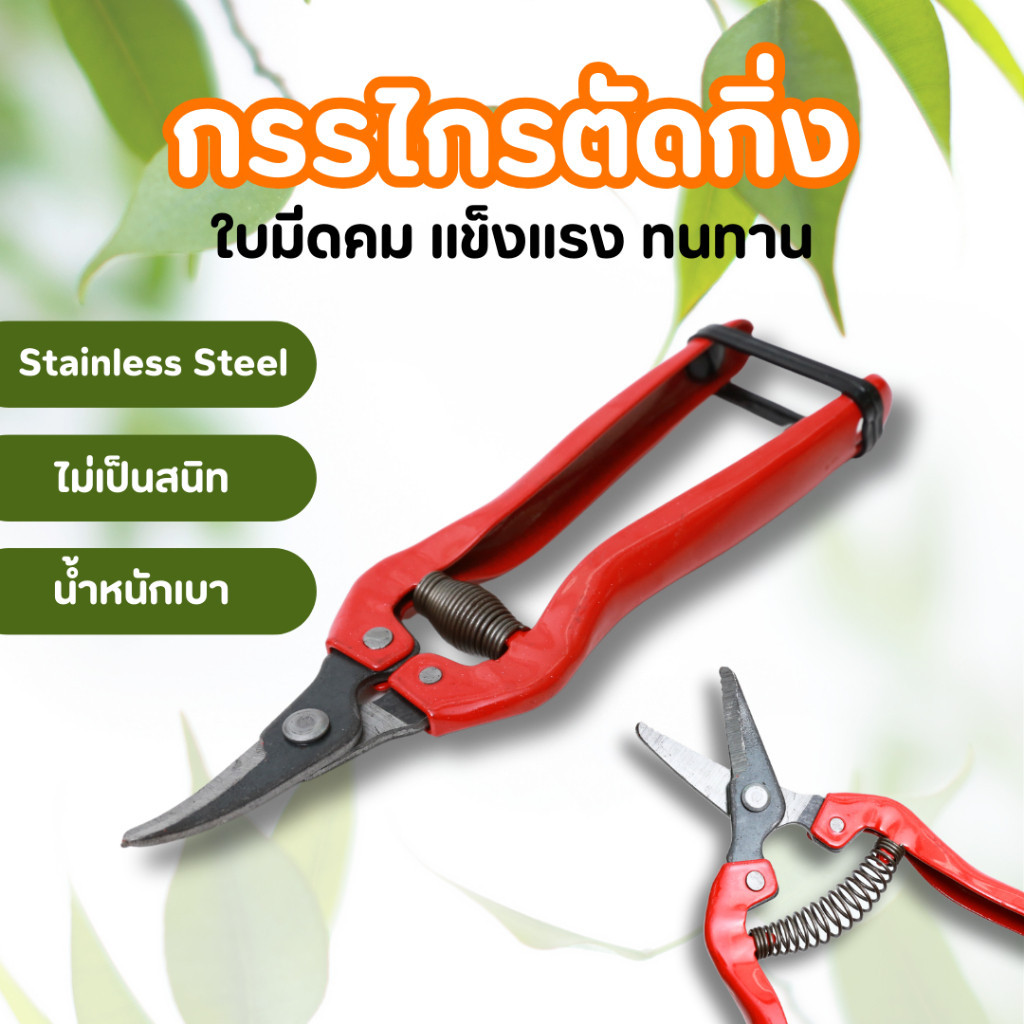 ปลีก/ส่ง กรรไกรตัดกิ่งไม้ ปากงอ ด้ามจับนุ่ม พร้อมใช้งาน ใบมีดผลิตจากสแตนเลส