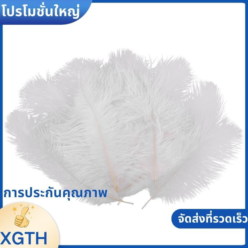 10 ชิ้นสีขาวขนนกกระจอกเทศธรรมชาติ 20-25 ซม.งานแต่งงาน DIY xgaminfhcuifueh.th