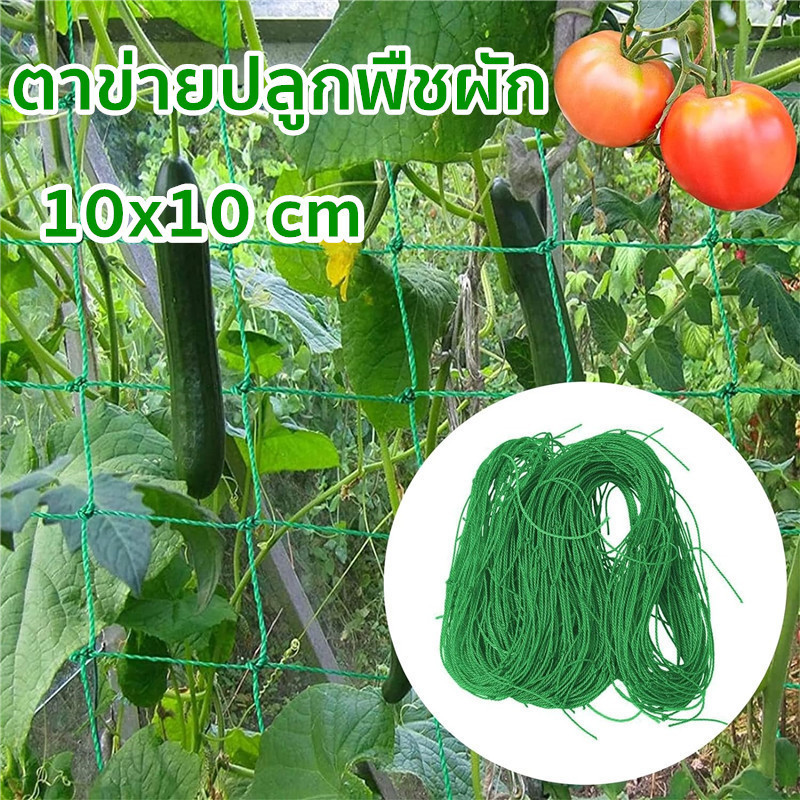 ตาข่ายสำหรับพืชไม้เลื้อย 10x10 cm ตาข่ายไม้เลือย ตาข่ายปลูกผัก ค้างไม้เลื้อย ค้างผัก