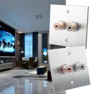 Louting Surround Home Theater Speaker Wall Plate Banana Bind…
