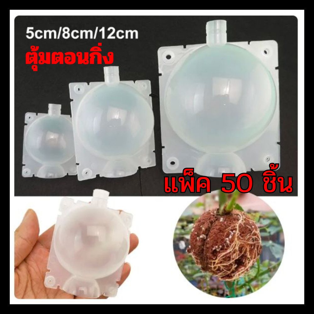 ตุ้มตอนกิ่ง ตอนกิ่ง แพ็ค 50 ชิ้น มีที่ล็อคในตัว ตุ้มตอนพลาสติก แบบหนา มี 3 ขนาด แข็ง ทนทาน ใช้ซ้ำได้