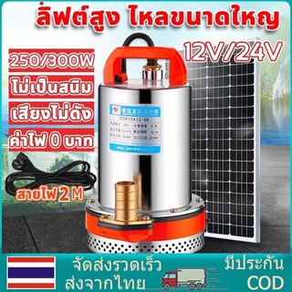 สแตนเลส ปั๊มจุ่ม 1นิ้ว12V 300W ไดโว่ เจ้าพระยา แรงดันสู แบตเตอรี่ มอเตอร์ทองแดงแท้ 100% ไดร์โว่ดูดน้ำ 12v ปั๊มน้ำ