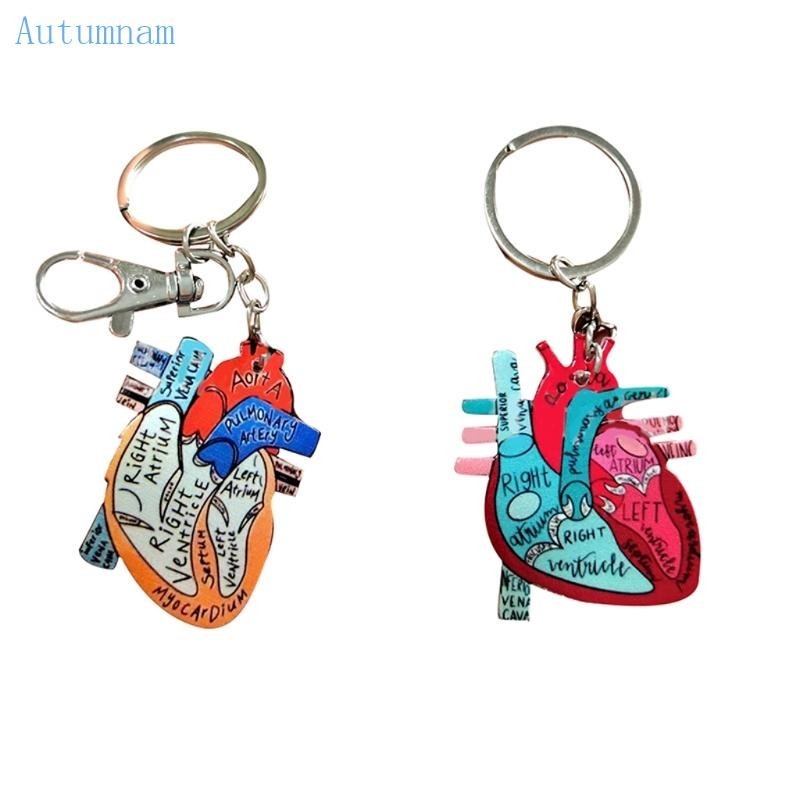 Autu Anatomical Heart Diagram พวงกุญแจโลหะผสมขนาดเล ็ กสดตัวอักษรอะคริลิคจี ้ กระเป ๋ า