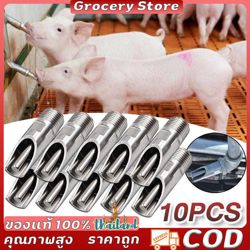 ก๊อกหมู ก๊อกหมู สแตนเลสแท้ ทองแดง 1 ชุด 10 ชิ้น ขนาด 4 หุน (1/2 นิ้ว) จุ๊บหมู ตัวดูดน้ําหมู
