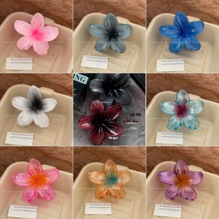 โจโจ้ โกโก้ ฮาวาย ลีลาวดี กิ๊บติดผมสําหรับผู้หญิงสไตล์เกาหลี…