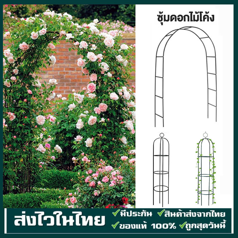 ซุ้มไม้เลื้อย ซุ้มโครงเหล็ก ซุ้มกุหลาบเลื้อย ซุ้ม13mm ของแต่งสวน ซุ้มงานแต่ง แข็งแรงมากขึ้น ประกอบได้ 3ขนาด