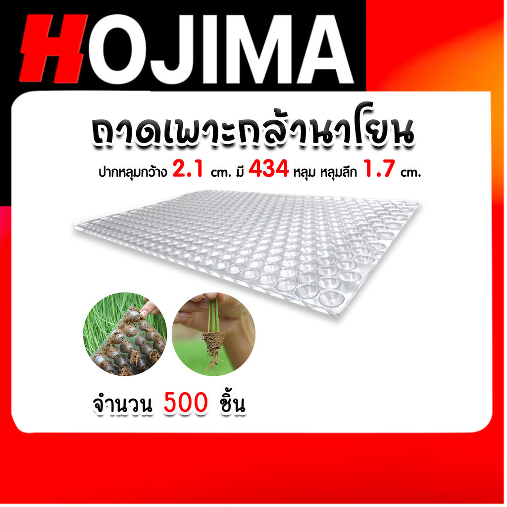 ถาดเพาะกล้านาโยน 434 หลุม แพ็ค 500 ชิ้น  ถาดเพาะต้นข้าว ถาดเพาะนาโยน เพาะกล้าข้าว ถาดนาโยน ถาดเพาะกล